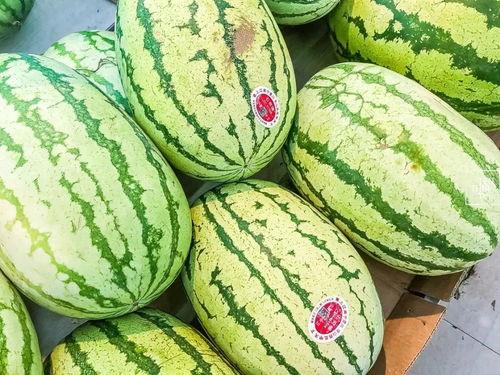 江阴青阳吃瓜事件,一场引发热议的街头冲突纪实