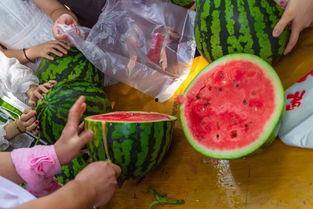 燕大视频吃瓜,揭秘校园热点背后的真相