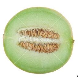 新疆长瓜怎么吃,探索美味与营养的完美融合