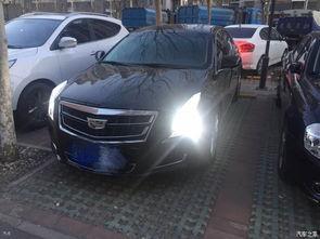 吃瓜凯迪拉克女车主,凯迪拉克女车主引发网络热议事件全解析