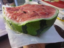 嘴馋吃瓜,揭秘美食诱惑背后的故事