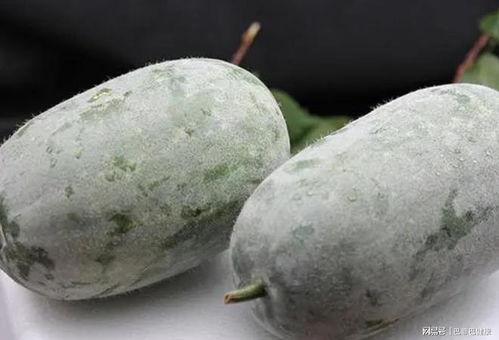 韩国吃瓜一线,吃瓜一线揭秘幕后真相