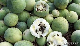 嗑瓜子吃大瓜还是小瓜,揭秘瓜子界的甜蜜诱惑