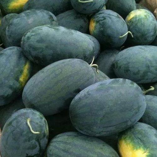 濮阳胜利路吃瓜,夏日吃瓜盛地，街头巷尾尽享清凉时光