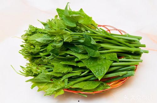 瓜尖须怎么吃,瓜尖须的独特食用方法揭秘