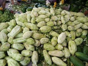 万寿瓜怎么吃,探索美味与营养的完美融合