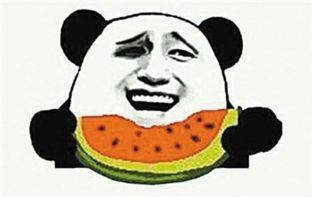 疯狂吃瓜头神器,揭秘瓜界新潮流