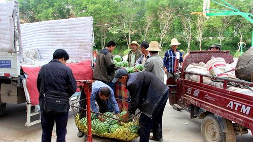 石佛寺镇吃瓜事件,一场引发热议的社区冲突纪实