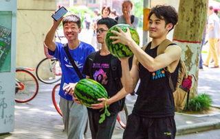 职业院校吃瓜,揭秘校园里的“吃瓜”现象