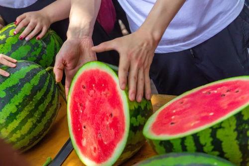昆明大学吃瓜,吃瓜群众眼中的校园美食盛宴