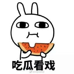 网民热衷吃瓜面试,网络热议背后的职场现象