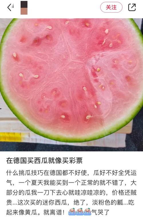 人们吃瓜的图片,跟随镜头探寻全民吃瓜的欢乐时光