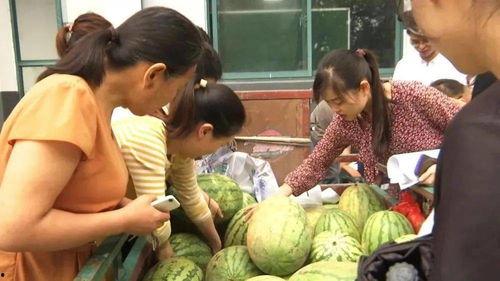 村里那些炸裂吃瓜,揭秘乡村趣味生活