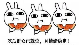 肤浅人类吃瓜,揭秘网络时代的“瓜文化”现象