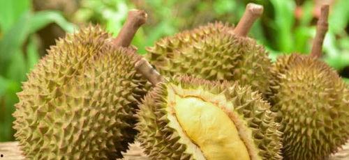 南医泰吃瓜,揭秘校园风云背后的真相