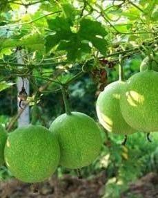 子茵吃瓜,揭秘娱乐圈背后的那些事儿