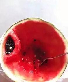 战斗民族怎样吃瓜,战斗民族独特吃瓜文化揭秘