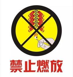 吃瓜禁止垃圾图文,共建无垃圾文明环境