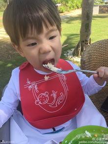 傅姥爷吃瓜,揭秘娱乐圈的幕后风云