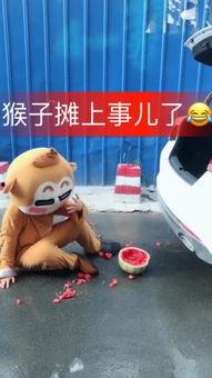 笨笨吃瓜直播靓声,靓声魅力绽放