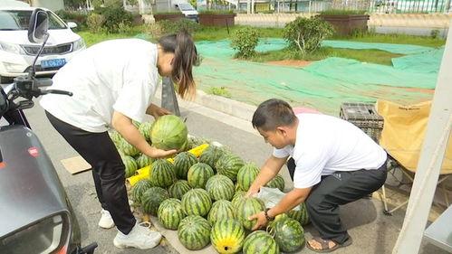 15种吃瓜的技巧,吃瓜达人必备的瓜果品尝技巧揭秘